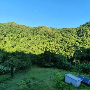 Appartement Spacieux A La Montagne, Le Carbet